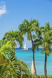 Barbados Prints: Paynes Bay, St James, Barbados, Caribbean