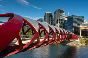 City Center Collection: Peace Bridge, Calgary, Alberta, Canada