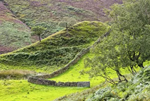 Moorland Prints: Peak District National Park, Derbyshire, England