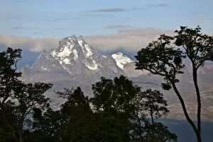 Aberdare National Park Gallery: The peaks of Mount Kenya from the Aberdare National Park. Mount Kenya is Africas second highest
