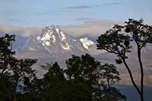 Central Province Prints: The peaks of Mount Kenya from the Aberdare National Park