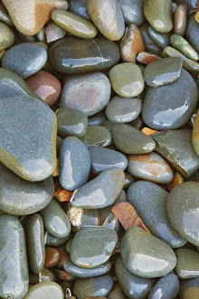 Pebble Prints: Pebbles on the beach - United Kingdom, England, Devon, Bude, Sandymouth Bay