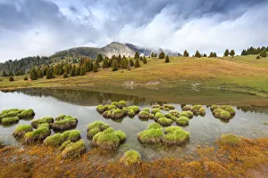 South Tirol Prints: Peller mountain and lake Vipers Europe, Italy, Non valley, Trentino, Trento province