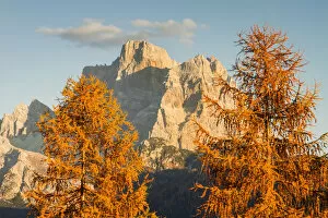 Pelmo mount between larix in autumn. Dolomites, Veneto, Italy