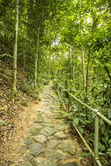 Images Dated 6th February 2019: Penang Botanical Gardens, George Town, Penang Island, Malaysia