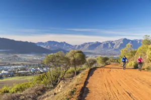 Winelands Prints: People cyclists passing through Paarl Valley, Paarl, Western Cape, South Africa