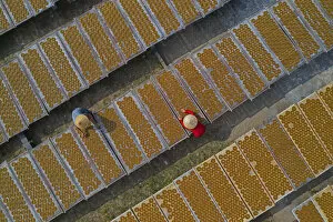 Earth from Above Gallery: People dries incense in preparation for Tet, the traditional Vietnamese festival in Hong
