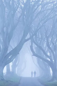 Two People Prints: Two people walking along the famous tree lined lane The Dark Hedges