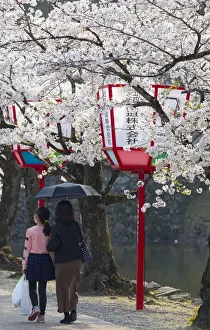 Hikone Castle Prints: People walking past cherry blossom and moat at Hikone Castle, Hikone, Kansai, Japan