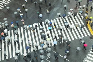 Crossing Prints: People walking across Shibuya Crossing, Shibuya, Tokyo, Japan