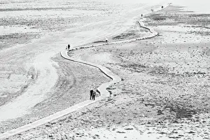 Crossing Prints: People walking along the winding causeway at low tide from the quay side to Elizabeth Castle