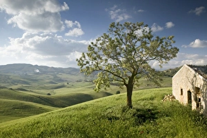 Sicilia Gallery: Pergusa, Nr