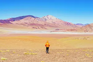 Catamarca Prints: Person looking at Galan Volcano standing in the high desert