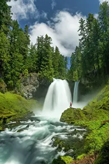 Temperate Rain Forest Prints: Person Looking at Sahalie Falls, Willamette National Forest, Oregon, USA