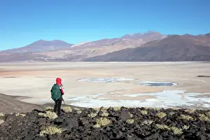 Loneliness Prints: A person looking at the Salar de Antofalla Salt Flat from an elevated point of view