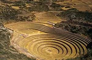 Images Dated 8th February 2011: Peru, Andes, Cordillerra Urubamba, Urubamba, Moray. Striking Inca terraces - believed to have been
