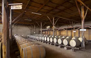 Peru, Bodega Ocucaje, Winery And Vineyards, Barrels Of Aging Red Wines, Ocucaje Desert
