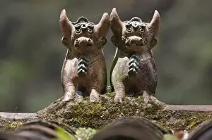 Ornaments Collection: Peru, Clay bulls are common rooftop ornaments throughout Peru. Said to bring good luck