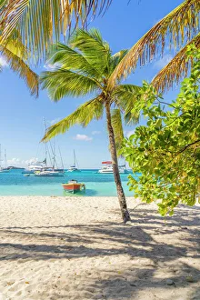 Images Dated 6th April 2023: Petit Rameau Island part of the Tobago Cays in the Grenadines Islands