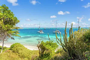 Images Dated 6th April 2023: Petit Rameau Island part of the Tobago Cays in the Grenadines Islands