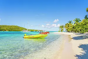 Petit Rameau Island part of the Tobago Cays in the Grenadines Islands, Saint Vincent and the Grenadines, Caribbean
