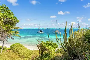 Q2 2023 Prints: Petit Rameau Island part of the Tobago Cays in the Grenadines Islands