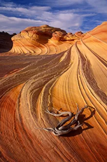 Petrified Sand Dunes, Colorado Plateau, Arizona, USA