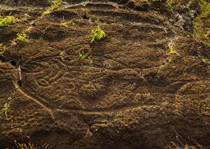 Petroglyphs in Papa Tataku Poki nearby Tongariki, Rapa Nui National Park, Easter Island