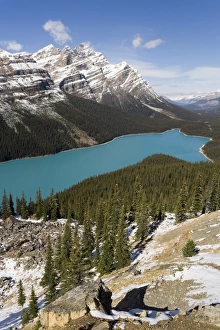 Peyto Lake