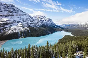 Images Dated 16th January 2018: Peyto lake in autumn, Banff National Park, Alberta, Canada