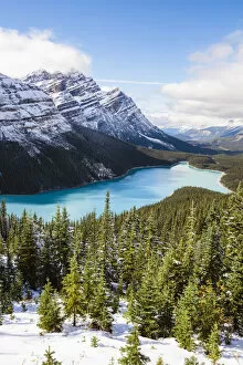 Images Dated 16th January 2018: Peyto lake in autumn, Banff National Park, Alberta, Canada