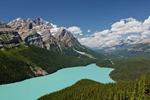 Turquiose Prints: Peyto Lake, Banff National Park, Alberta, Canada