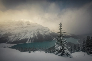 Alberta Prints: Peyto Lake, Banff National Park, Canada