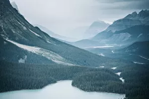 Images Dated 21st February 2020: Peyto Lake, Icefields Parkway, Canadian Rockies, Canada