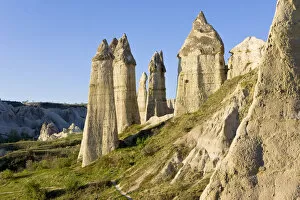 Images Dated 10th July 2008: Phallic pillars (Fairy Chimneys), Love Valley, near Goreme, Cappadocia, Anatolia, Turkey