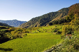 Philippines
