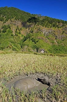 Philippines