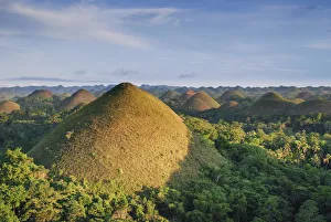 Images Dated 13th January 2014: Philippines, Bohol, Chocolate Hills