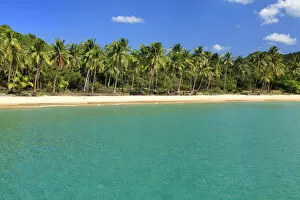 Philippines, Palawan, Beach Near El Nido