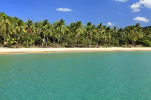 Images Dated 13th January 2014: Philippines, Palawan, Beach Near El Nido