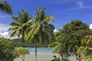 Philippino Prints: Philippines, Palawan, Port Barton