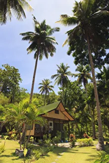 Accomodation Prints: Philippines, Palawan, Port Barton, Cacnipa Island