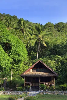 Philippino Prints: Philippines, Palawan, Port Barton, Turtle Bay