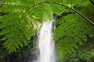 Water Fall Collection: Philippines, South East Luzon, Bicol Province