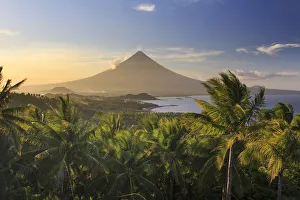 Palm Plantation Prints: Philippines, Southeastern Luzon, Bicol, Mayon Volcano