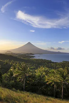 Palm Plantation Prints: Philippines, Southeastern Luzon, Bicol, Mayon Volcano