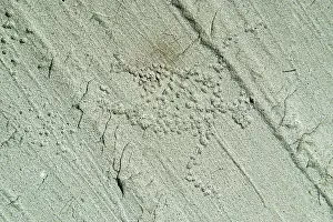 Kenora District Prints: Pictographs on rock on Island in Lake of the Woods Kenora District, Ontario, Canada
