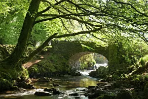 Images Dated 6th January 2015: Picturesque Robbers Bridge near Oare, Exmoor, Somerset, England. Spring (May)
