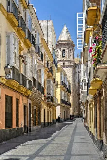 Images Dated 26th August 2021: Picturesque street scene in the old town, Cadiz, Andalusia, Spain