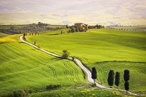 Pienza, Val d Orcia, Tuscany